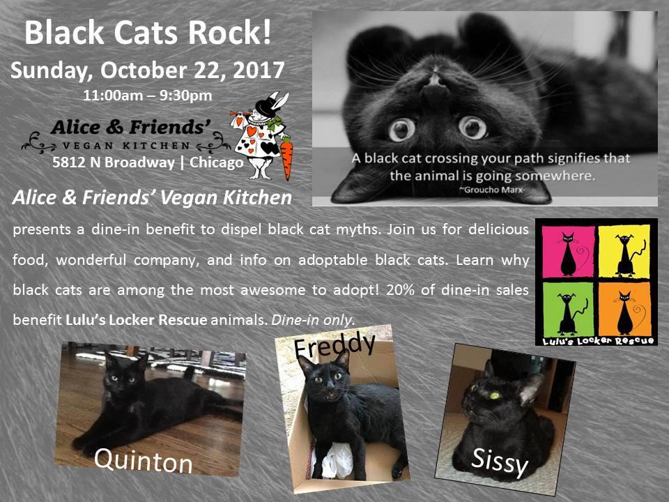 Join Our First Fundraising Event - Black Cats Rule! -