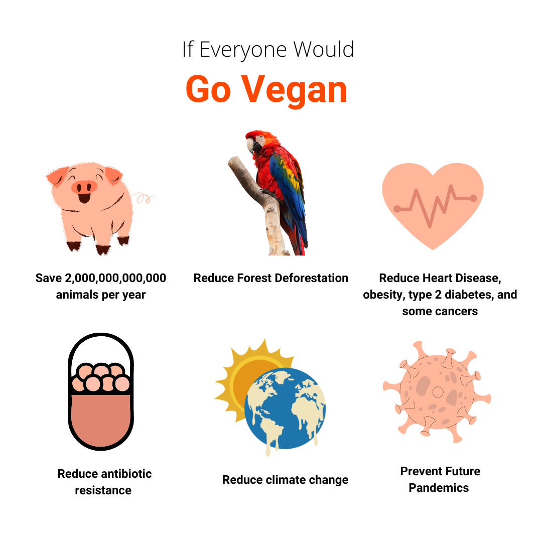 Veganism: 10 Things You Must Know Before You Go Vegan